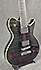 Washburn W66ANC