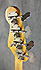 Fender Precision Bass de 1965