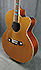 Epiphone El Caballero