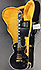 Gibson Les Paul Custom