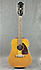 Epiphone FT112 Bard Roy Orbison