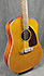 Epiphone FT112 Bard Roy Orbison