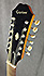 Epiphone FT112 Bard Roy Orbison