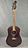 Fender Newporter