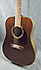 Fender Newporter