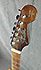 Fender Newporter