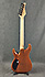 Schecter C6 Pro