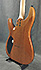 Schecter C6 Pro