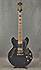 Epiphone Sheraton II