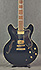 Epiphone Sheraton II