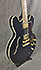 Epiphone Sheraton II