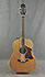 Takamine CRN TS1