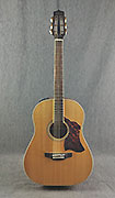 Takamine CRN TS1