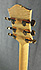 Collings Small Jumbo de 2008