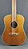 Takamine TAN10 12