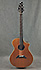 Breedlove American Series