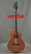 Breedlove American Series