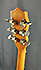 Hofner Banjo 6 cordes