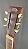 Busker Chatanooga Tricorne Square Neck