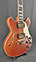 D'Angelico Deluxe DC SP