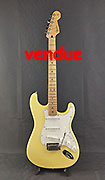 Fender Stratocaster Player