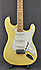 Fender Stratocaster Player