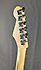 Fender Stratocaster Player