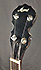 Morris Banjo 5 Cordes