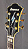 Ibanez PM120