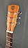 Dobro Epiphone Hound Dog