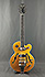 Epiphone Wildkat