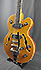 Epiphone Wildkat