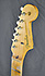 Fender Custom Shop LTD Tropo Stratocaster Hard Tail