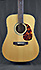 Recording King RD-328