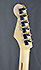 Fender Stratocaster Player