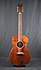 Takamine EF407