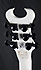 Schecter Synyster Gates Standard Floyd White