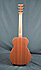 Martin LX 1