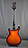 PRS Hollobody SE