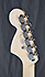 Fender Stratocaster American Performer