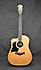 Taylor 110 Ce LH