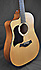 Taylor 110 Ce LH