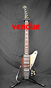 Loic Le Pape Firebird