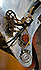 Fender Stratocaster Serie L de 1965