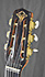 Gallato 502 Petite Bouche