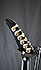 Epiphone Prophecy Extura