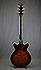 Ibanez AM 205 AV