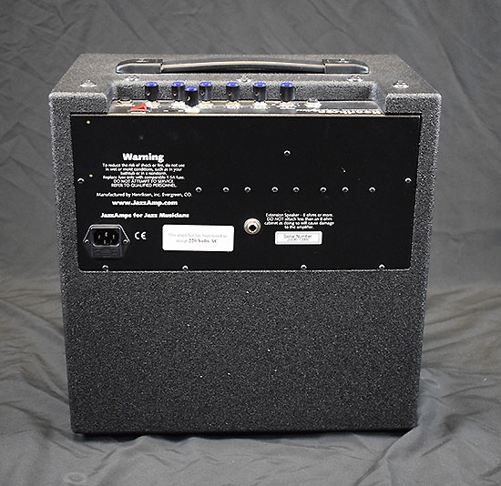 Henriksen Jazz Amp 10R avec housse