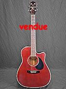 TAKAMINE EG-332RC