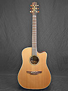 TAKAMINE TAN 10C